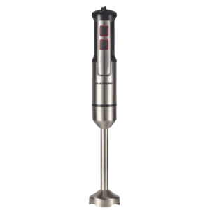 Hausberg HB-7668NG Mixeur plongeant 1000W